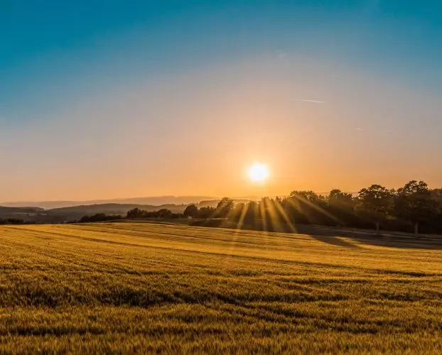 photo de la campagne