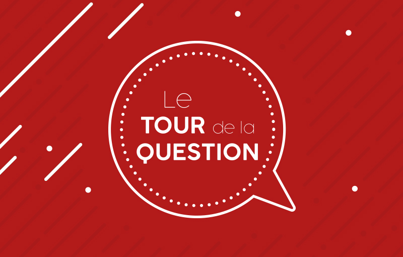 faire le tour de la question meaning