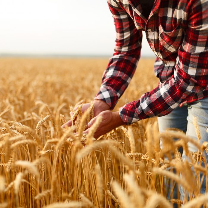 Image des agriculteurs