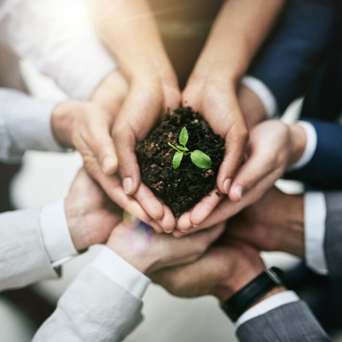 ÉNERGIES RENOUVELABLES ET LA PROTECTION DE LA BIODIVERSITÉ