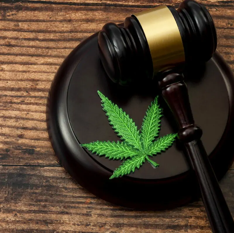 Légalisation cannabis