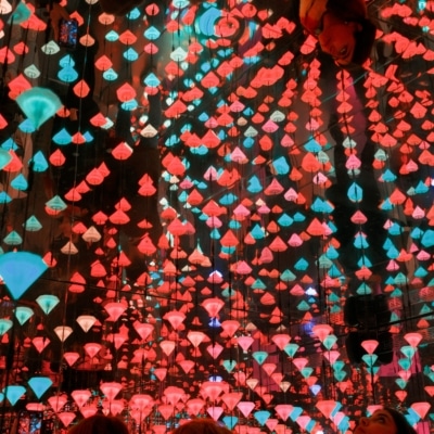 Groupe de personnes regardant une œuvre immersive