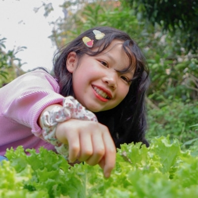 Petite fille cueillant de la salade