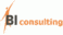 BI-CONSULTING
