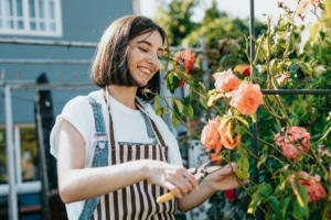 Femme en tablier qui coupe des roses dans un jardin